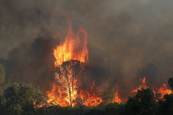Požar kod Saint Tropeza