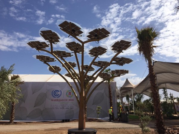 Solvisova solarna stabla u Maroku  