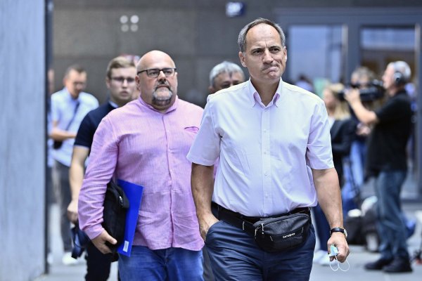 Dolazak članova Domovinskog pokreta na sjednice stranke