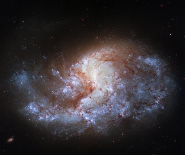 NGC 1385