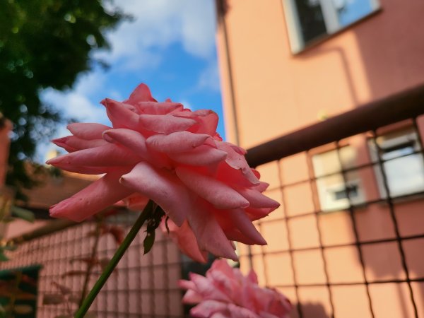 Samsung Galaxy Z Fold3 5G primjeri fotografija