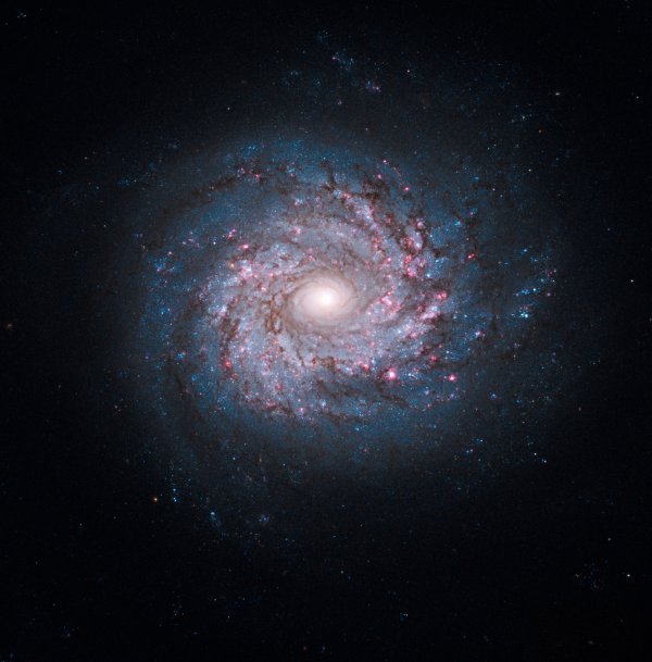 NGC 3982