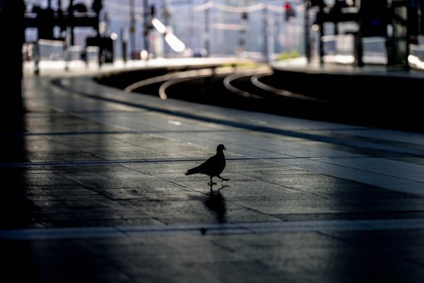 Štrajk željezničara u Njemačkoj