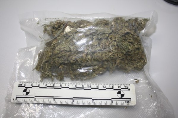 Zapljena droge u Zagrebu