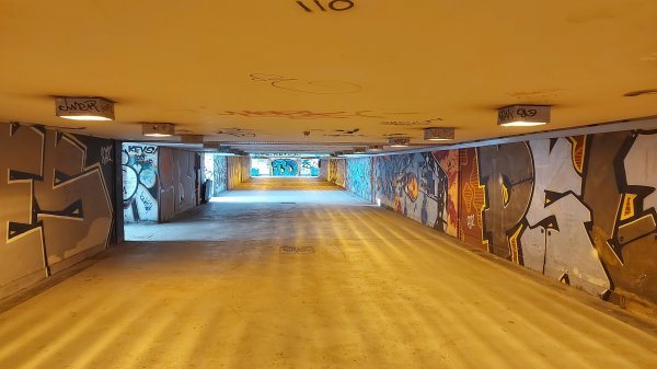 Pothodnik u Savskom Gaju