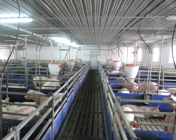 Precizna poljoprivreda na Belju