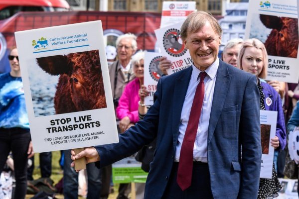 David Amess