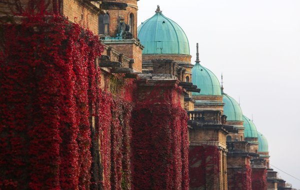 Blagdan Svih svetih na Mirogoju