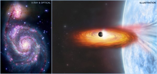 tportal