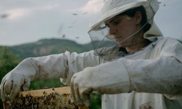 prizor iz filma 'Košnica'