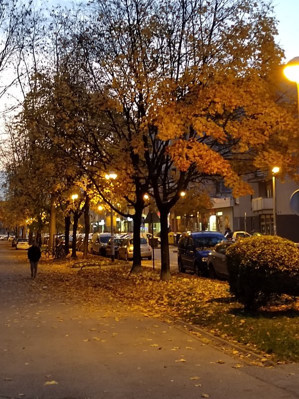 Honor 50 primjeri fotografija