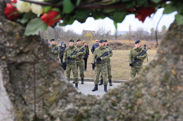 Obilježavanje stradanja Borova naselja pod nazivom "Žrtva Borova naselja za domovinu"