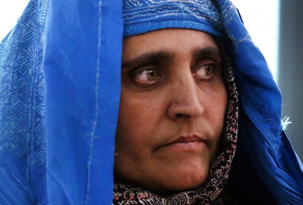 Sharbat Gula