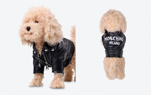 Moschino bajkerska jakna (4.300 kn)