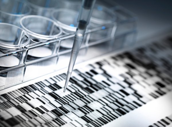 DNK analiza (ilustracija)