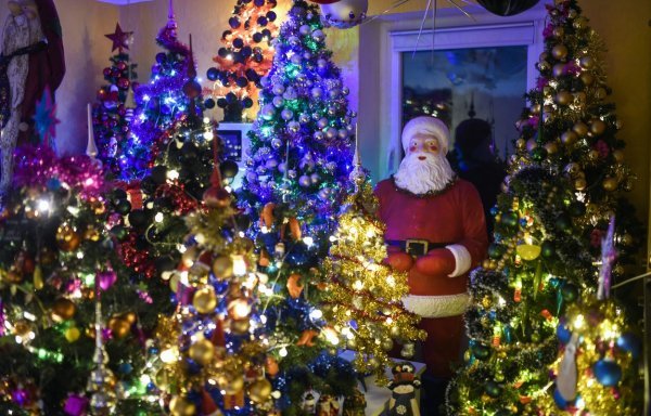 Božićne jelke u stanu