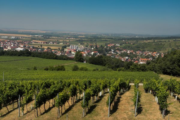 Kutjevo