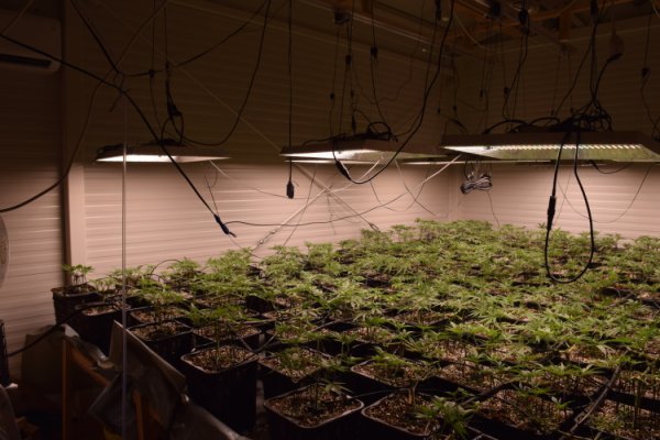 Zapljena droge u Velikoj Gorici