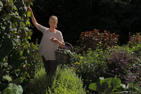 Kornelija Benyovsky Šoštarić