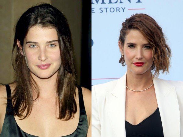 Cobie Smulders