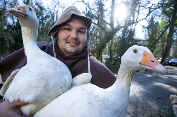 Predstava Napad na Tahyjev grad