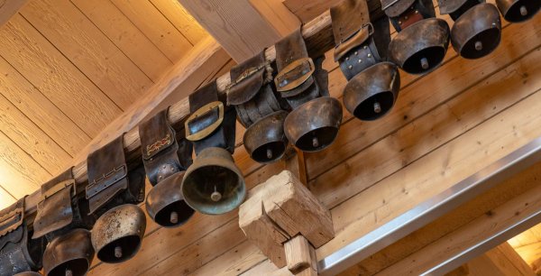 bp-lamaisondesbois-089-2