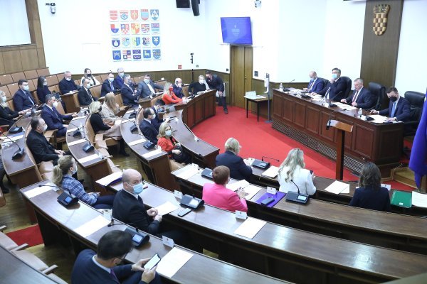 Saborski odbori o novom ministru Paladini