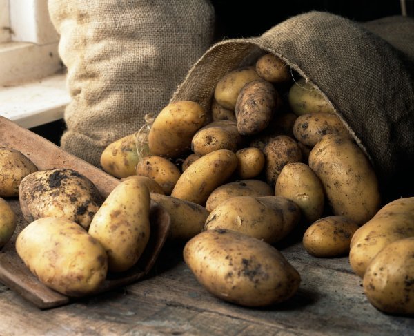 Krumpir držite na hladnom, tamnom i dobro prozračenom mjestu