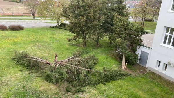 Požega: Nevrijeme u krugu bolnice