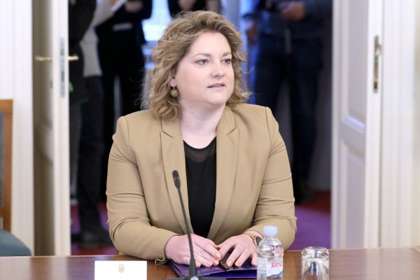 Anja Šimpraga, rasprava na sjednici odbora za Ustav