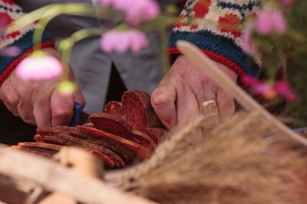 Salvonija i Baranja - Mario Romulić & Dražen Stojčić (1)