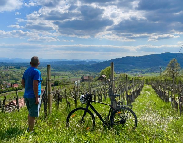 Vinogradi Prekratić 00