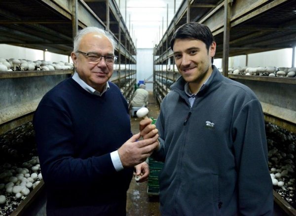 Ivan i Petar Fridrih