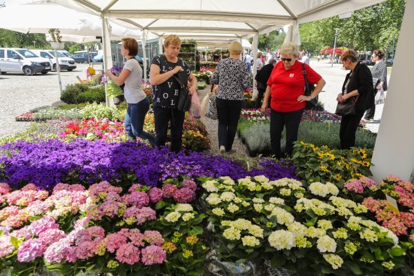 Otvorenje Floraart 2022.
