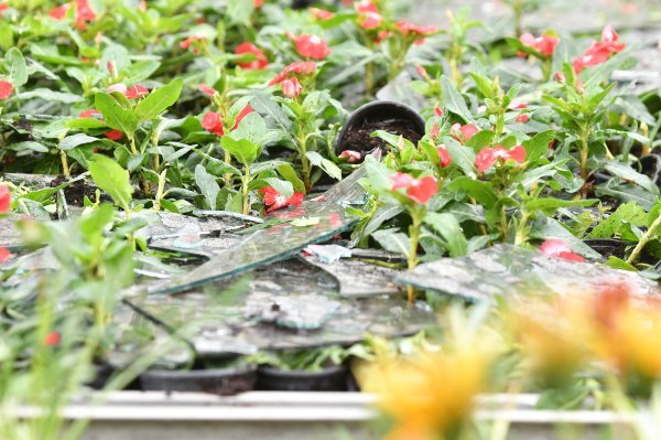 Mještani još zbrajaju razmjere štete koju je tuča nanijela jučer u Velikom Bukovcu