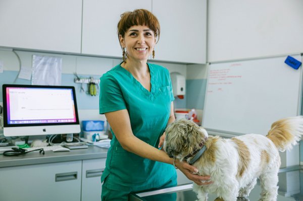 Dr. med. vet. Ivana Ćosevska  