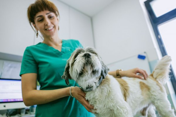 Niti jedan pripravak ne pruža stopostotnu zaštitu, stoga je bitno nakon svake šetnje pregledati dlaku ljubimca, kaže dr. med.vet. Ivana Ćosevska