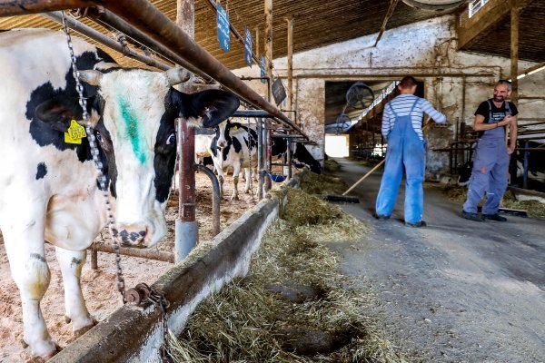 Kaznionica otvorenog tipa u Valturi