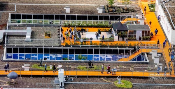 Rooftop Days, Rotterdam