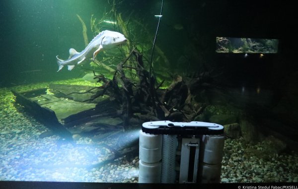 AquatiKa predstavila prvi robot perač akvarija