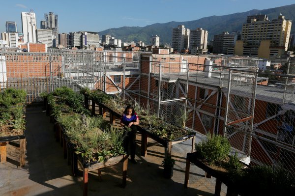 Zeleni krovovi osvajaju građane diljem svijeta. Ovaj vrt snimljen je na jednoj zgradi u glavnom gradu Venezuele Caracasu  