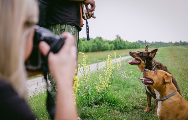 Pet Almighty Photography