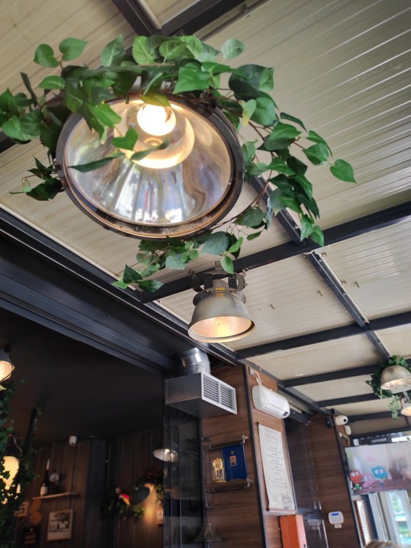 Honor Magic4 Pro primjeri fotografija