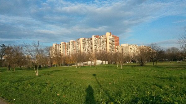 Zagrebačka Mamutica