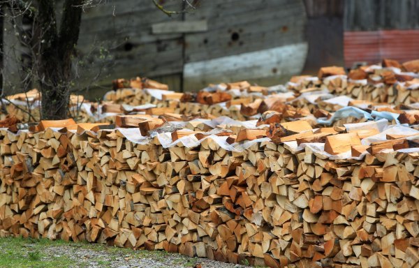 Drvo za ogrjev