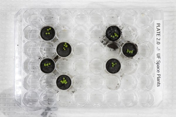 Hrana iz Mjesečevog tla