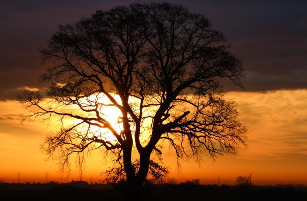 Svitanje u Parku prirode Kopački rit