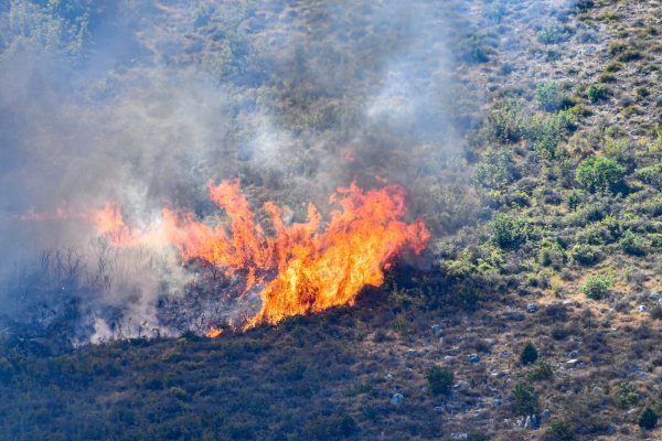 Veliki požar na dubrovačkom području