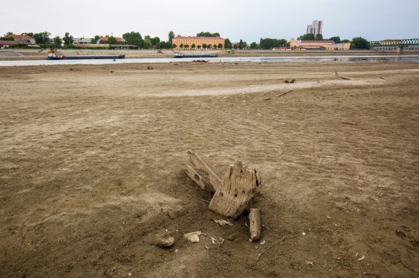 Niski vodostaj Drave