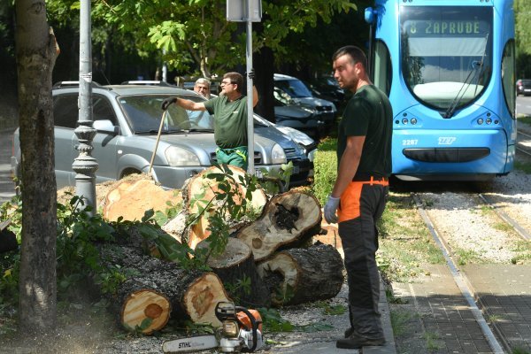 Stablo palo na ženu